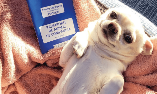 Screenshot 2026-01-06 at 12.13.49