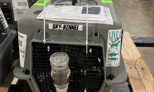 Screenshot 2026-01-09 at 14.53.01