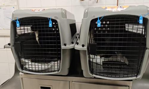 Screenshot 2026-03-05 at 09.07.15